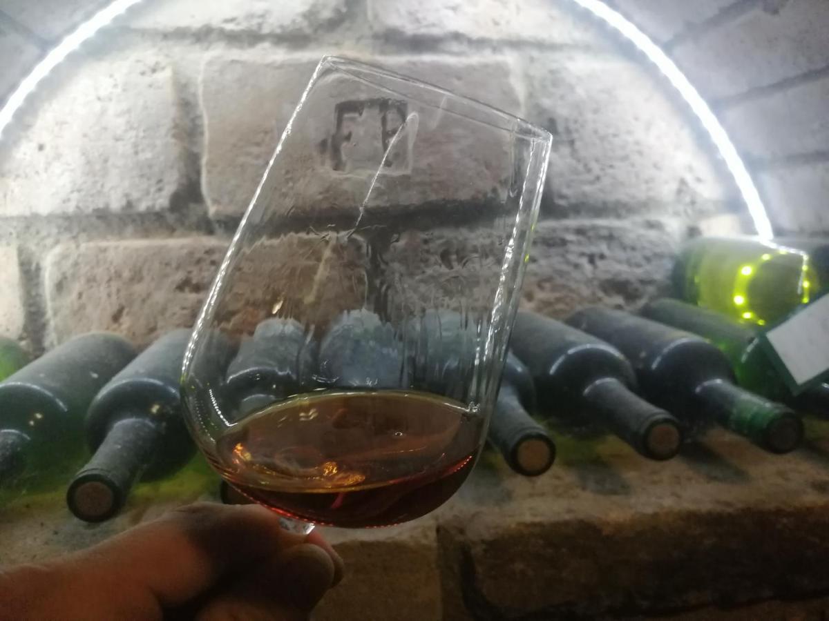 Hotel Privat Bohemia Šatov Zewnętrze zdjęcie