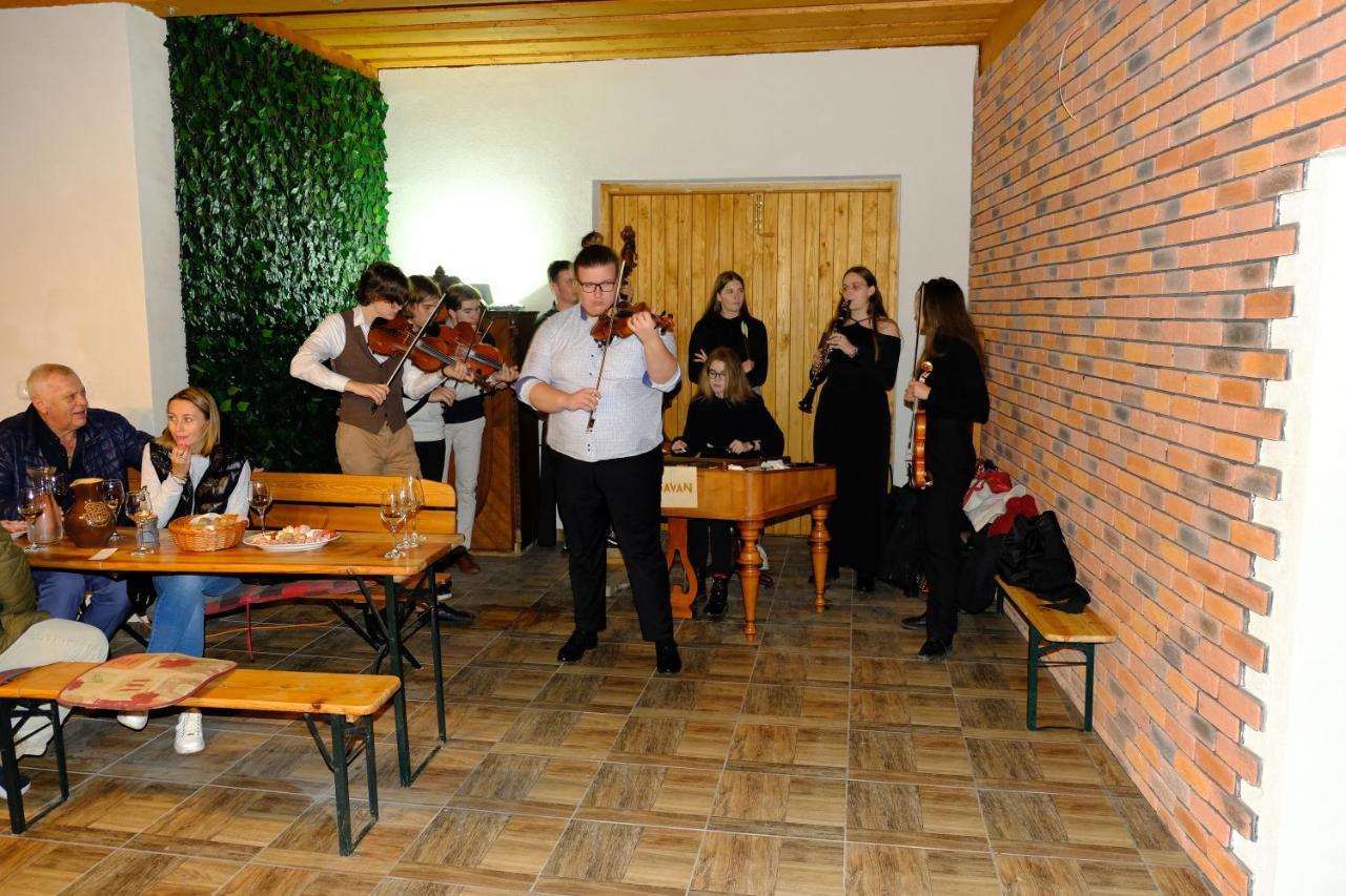 Hotel Privat Bohemia Šatov Zewnętrze zdjęcie
